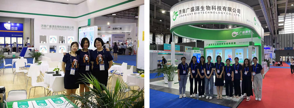 전시사진 전시사진