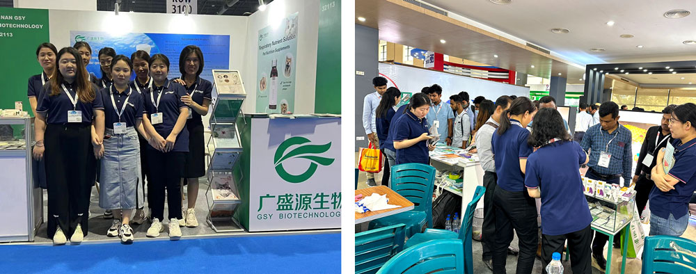 Hình ảnh triển lãm