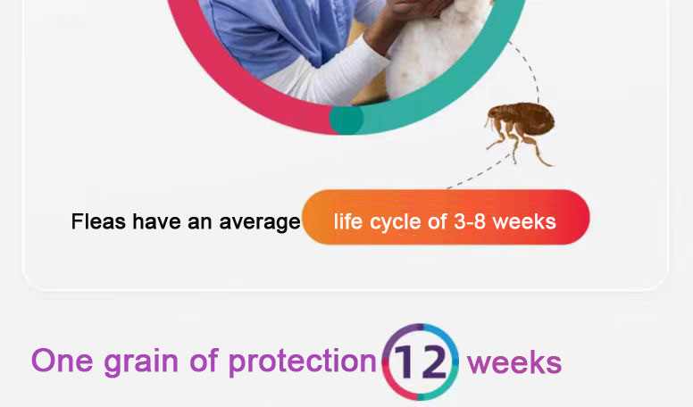 أقراص فلورالانر للمضغ 112.5 ملغ للكلاب