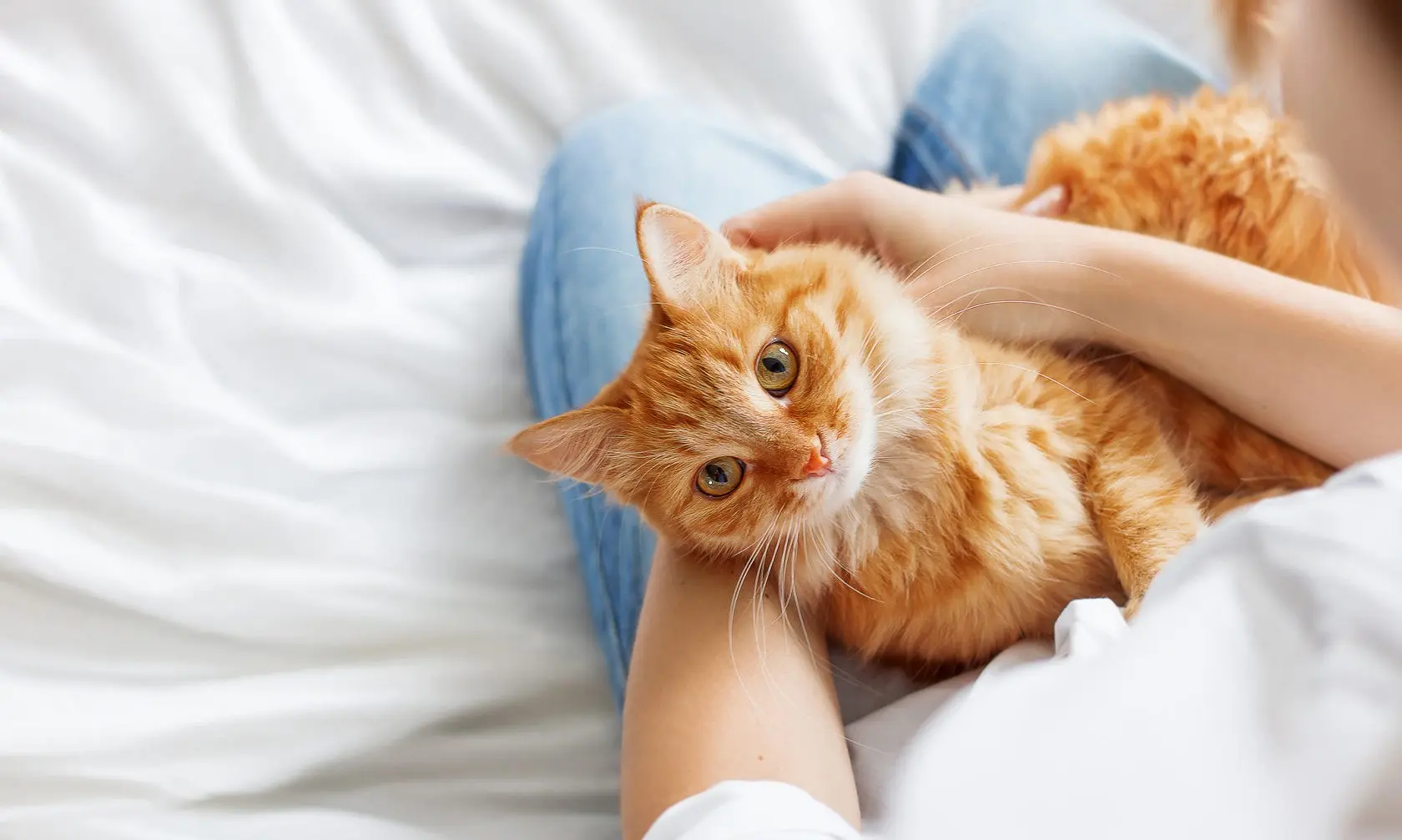 การบำบัดด้วยการถ่ายพยาธิ