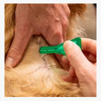 1.34 مل للكلاب فيبرونيل سبوت أون 1.34 مل للكلاب فيبرونيل سبوت أون