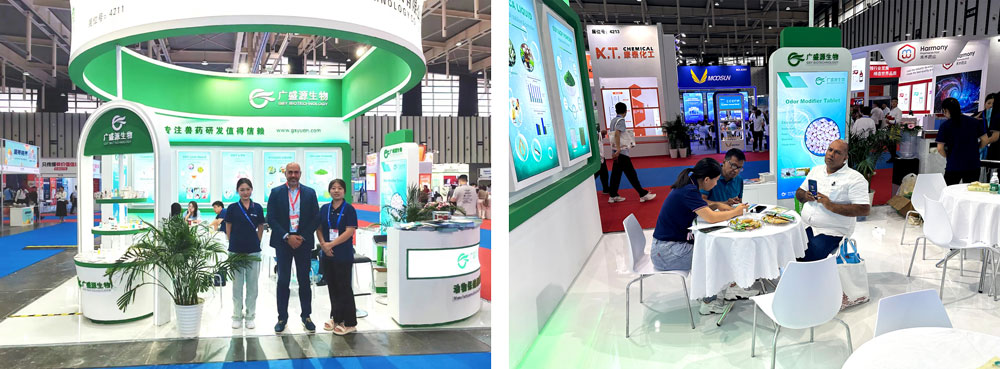 전시사진 전시사진