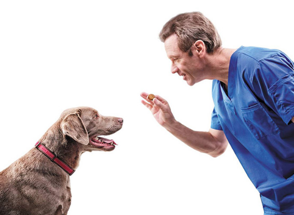 Fluralaner Chewable Tablets.png Fluralaner Chewable Tablets.png