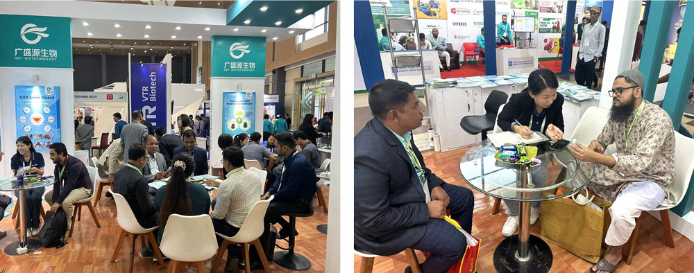 Hình ảnh triển lãm