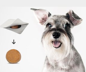 Fluralaner Chewable Tablets