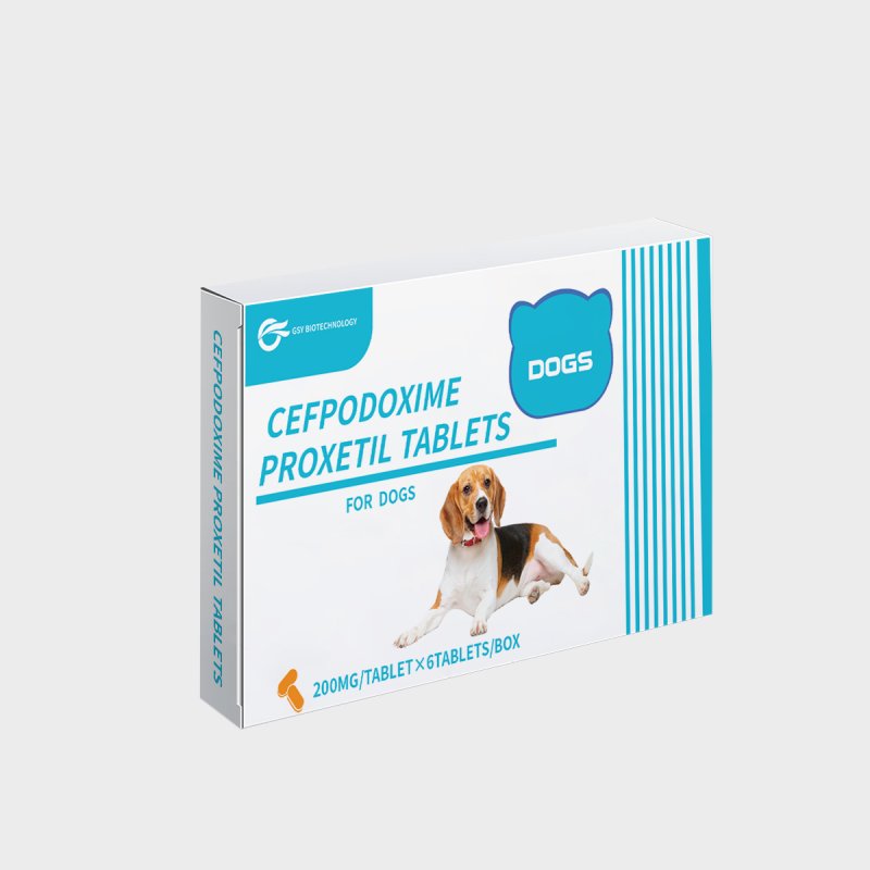200 mg For dogs Cefpodoxime Proxetil Tablets
