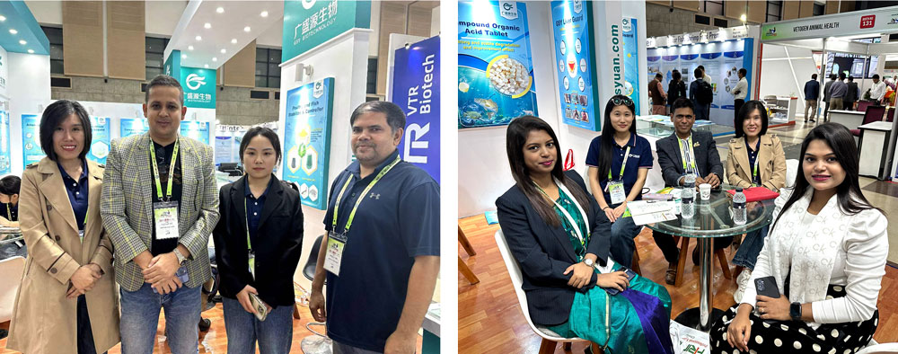 Hình ảnh triển lãm