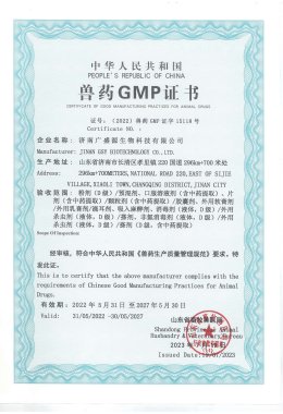 Honors and Qualifications