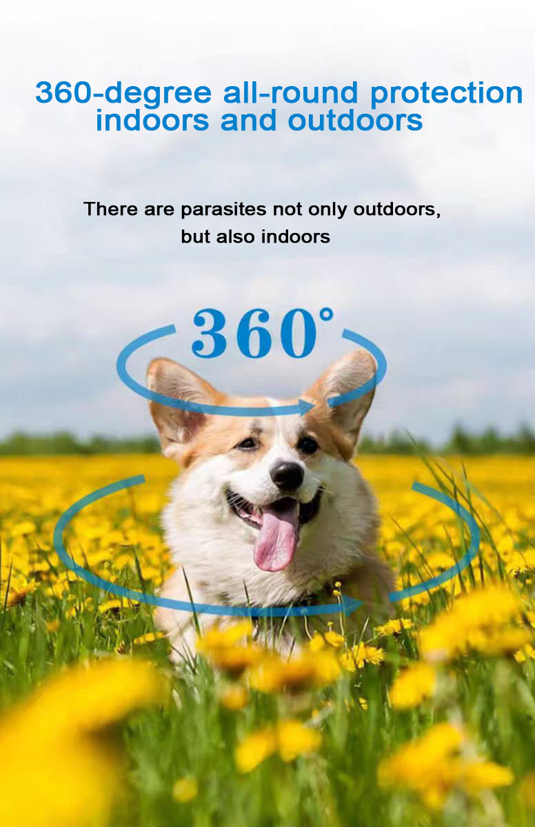 50 ملغ ألبيندازول قرص للحيوانات الأليفة 50 ملغ ألبيندازول قرص للحيوانات الأليفة