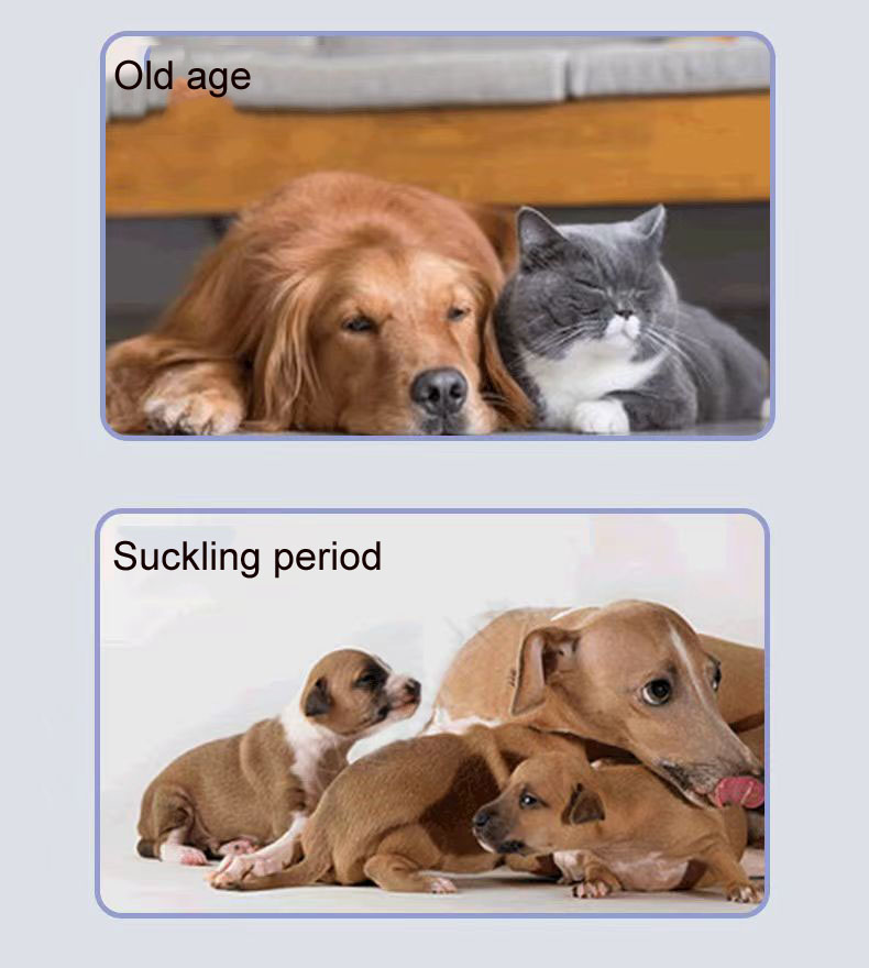 Pet Nutritional Supplements Multivitamin Tablets