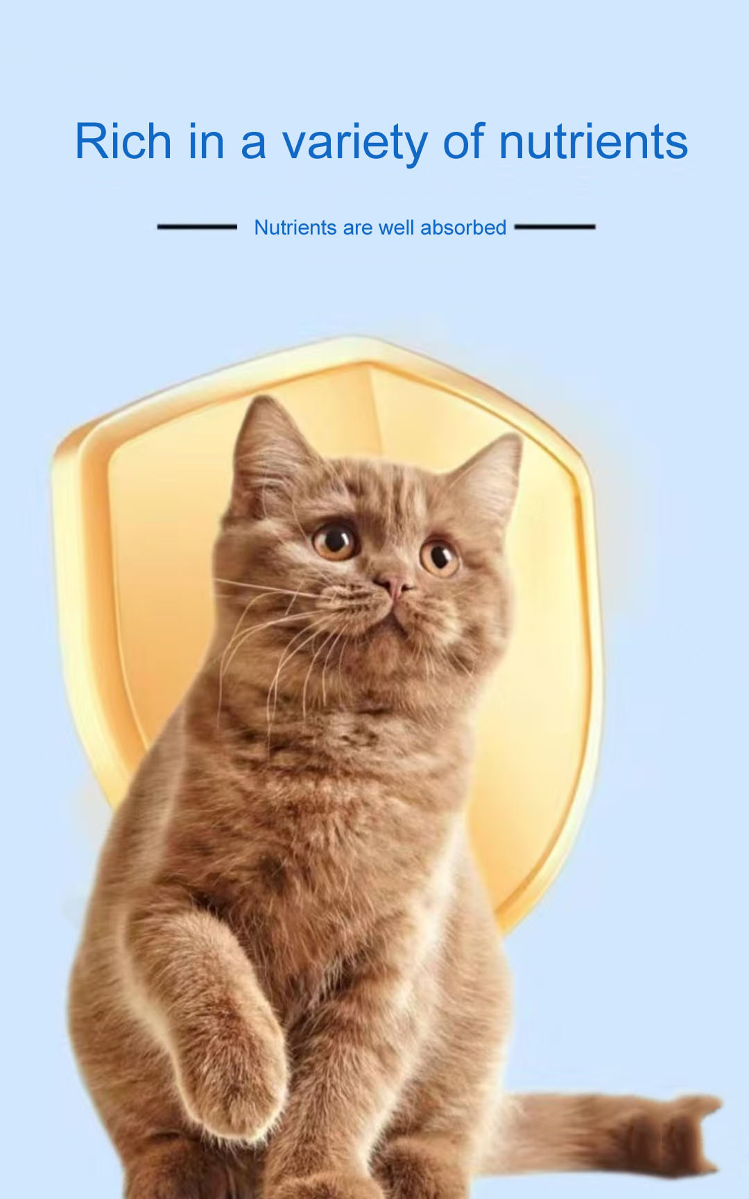 Dầu cá nhũ hóa cho thú cưng