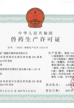 Honors and Qualifications