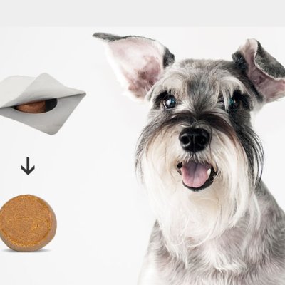 Fluralaner Chewable Tablets