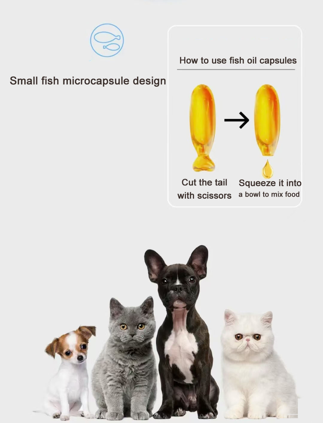 Fish Oil For pet Fish Oil For pet