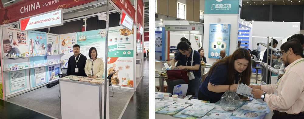 Hình ảnh triển lãm