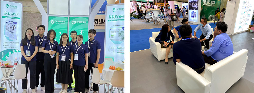 전시사진 전시사진