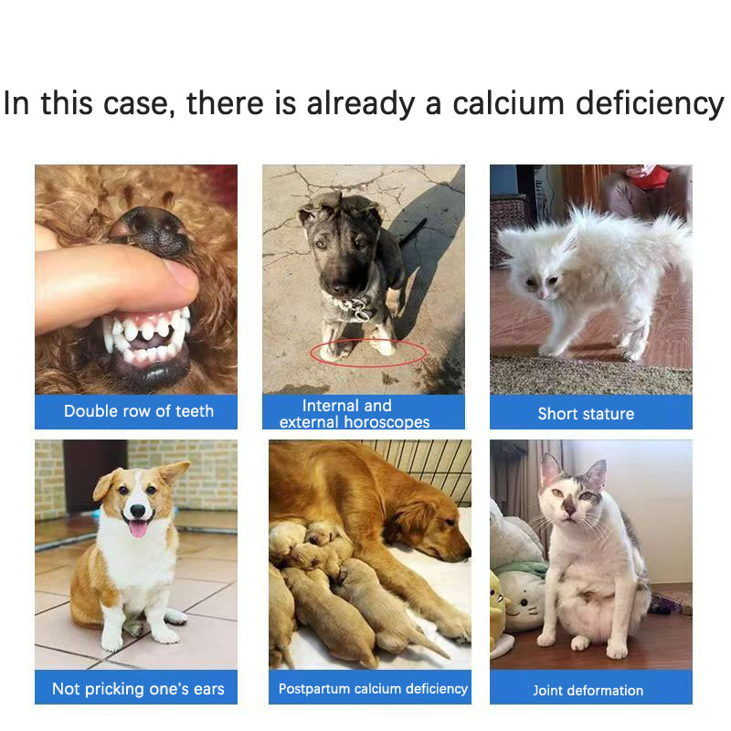 Comprimés de calcium de lait pour animaux de compagnie