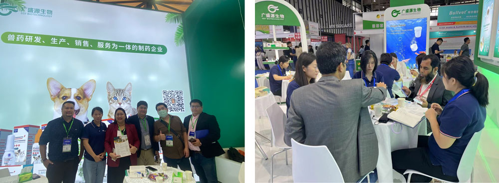 전시사진 전시사진