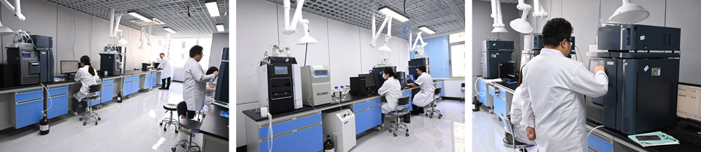 Unternehmensprofil Unternehmensprofil