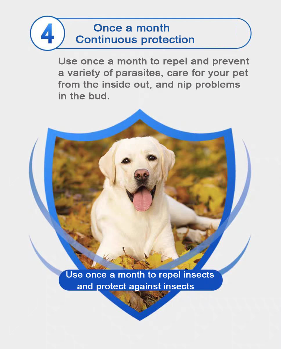 0.5ml for cats Selamectin and Sarolaner Drops