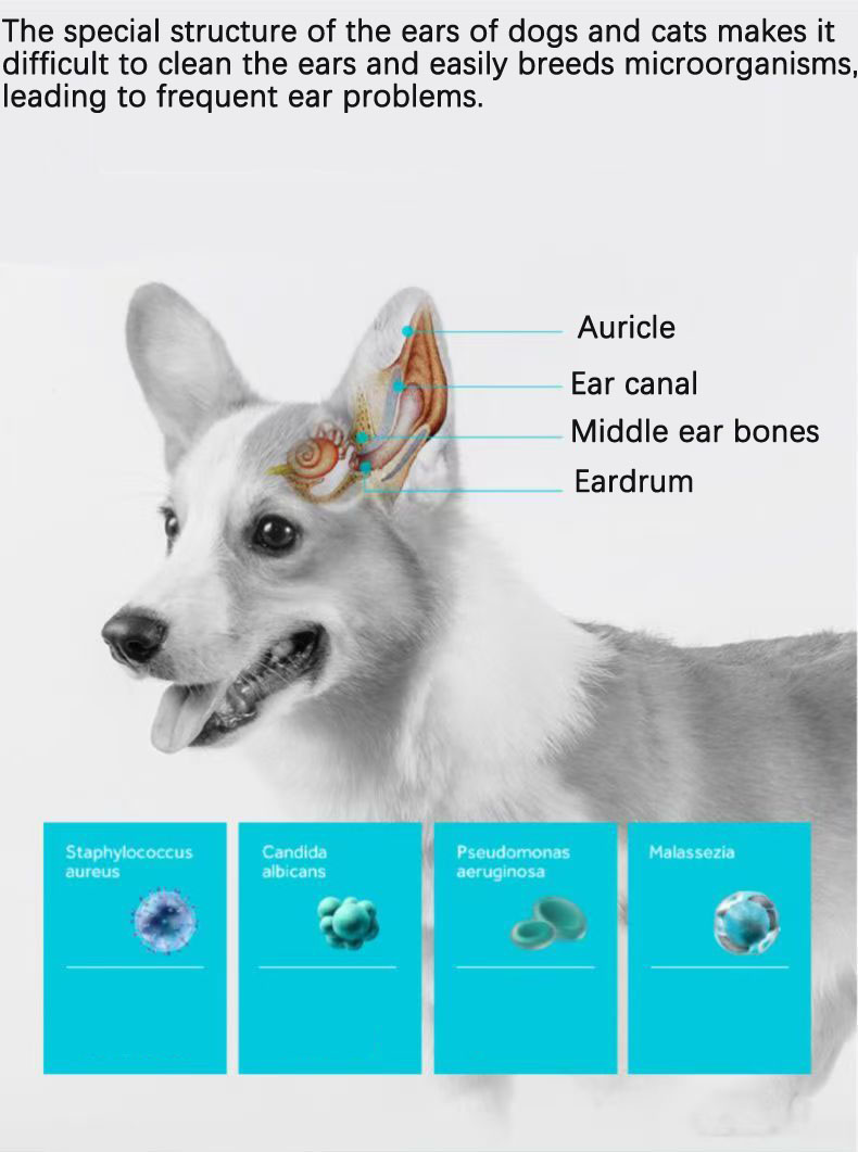 Solution de nettoyage des oreilles des animaux de compagnie Solution de nettoyage des oreilles des animaux de compagnie
