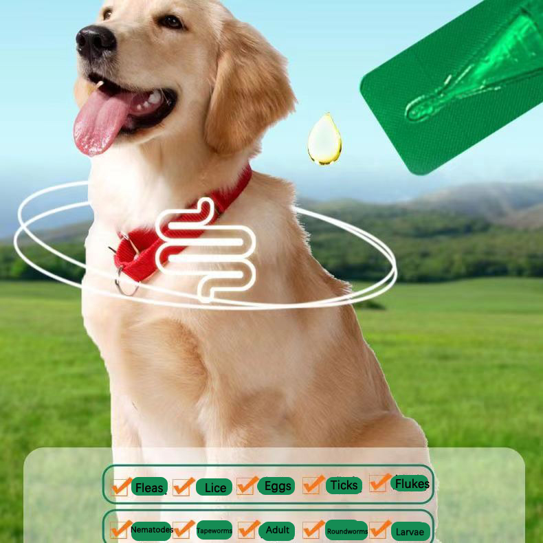 Fipronil Spot On 0.5ml for cats Fipronil Spot On 0.5ml for cats